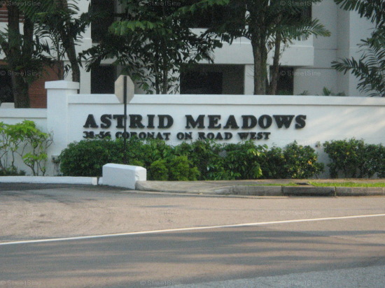 Astrid Meadows (D10), Condominium #1013872